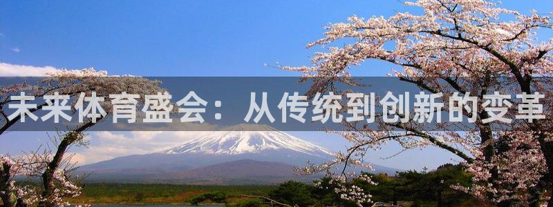 球新体育：未来体育盛会：从传统到创新的变革