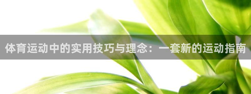 球新体育：体育运动中的实用技巧与理念：一套新的运动指南