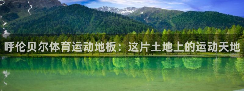 球新体育：呼伦贝尔体育运动地板：这片土地上的运动天地