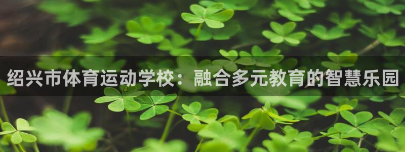 球新体育：绍兴市体育运动学校：融合多元教育的智慧乐园