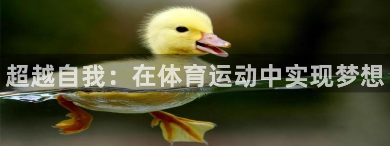 球新体育：超越自我：在体育运动中实现梦想