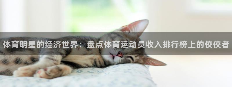 球新体育：体育明星的经济世界：盘点体育运动员收入排行榜上的佼佼者
