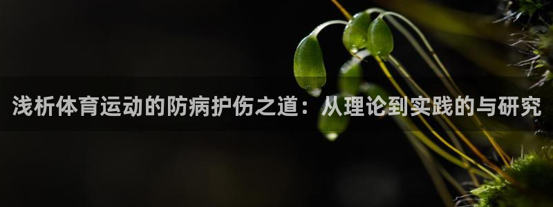 球新体育：浅析体育运动的防病护伤之道：从理论到实践的与研究