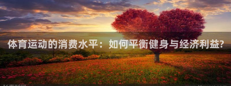 球新体育：体育运动的消费水平：如何平衡健身与经济利益?
