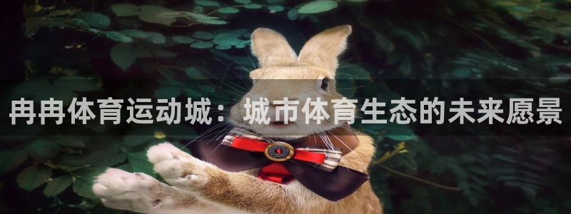 球新体育：冉冉体育运动城：城市体育生态的未来愿景
