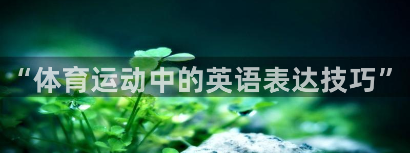 球新体育：“体育运动中的英语表达技巧”