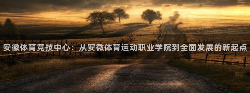 球新体育：安徽体育竞技中心：从安微体育运动职业学院到全面发展的新起点