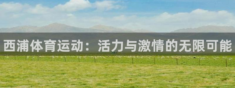球新体育：西浦体育运动：活力与激情的无限可能