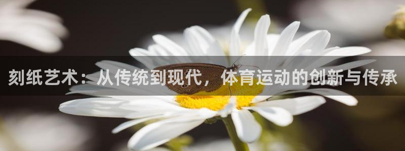 球新体育：刻纸艺术：从传统到现代，体育运动的创新与传承